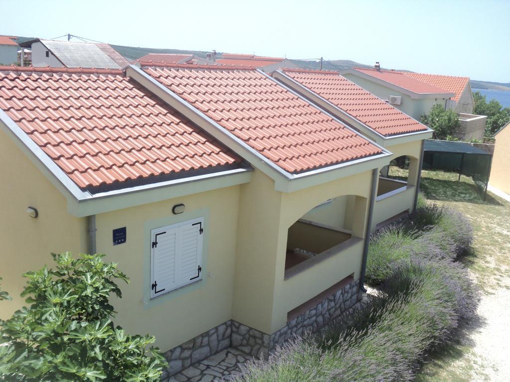 Apartments Mikecin Novigrad  Eksteriør bilde